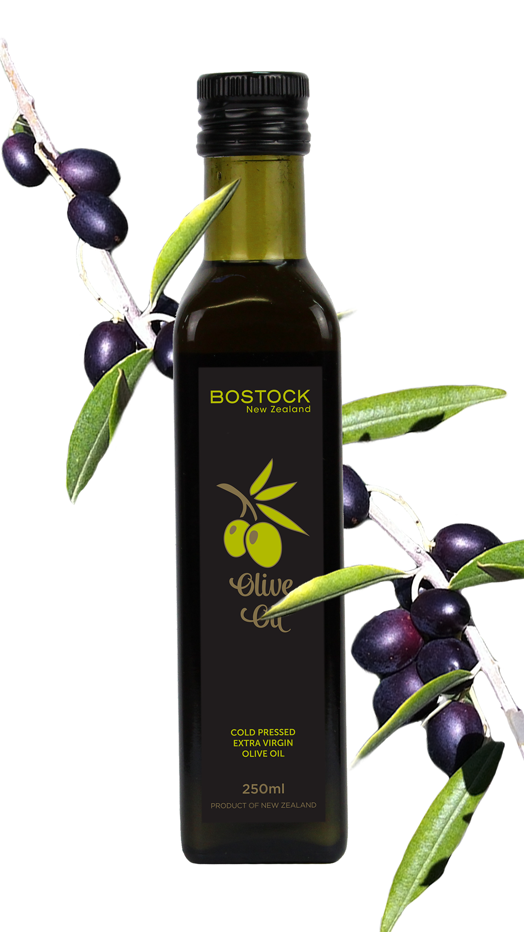 Bostock Olive Oil Image